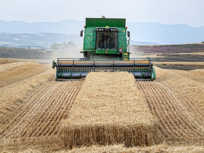 GRAF2341. VILLAVERDE, 19/07/2022.- Las cosechadoras trabajan en los últimos campos de trigo en la localidad riojana de Villaverde, con unas perspectivas especialmente difíciles por la guerra de Rusia en Ucrania y por la reducción de cosechas a causa de las olas de calor y la sequía.-EFE/Raquel Manzanares