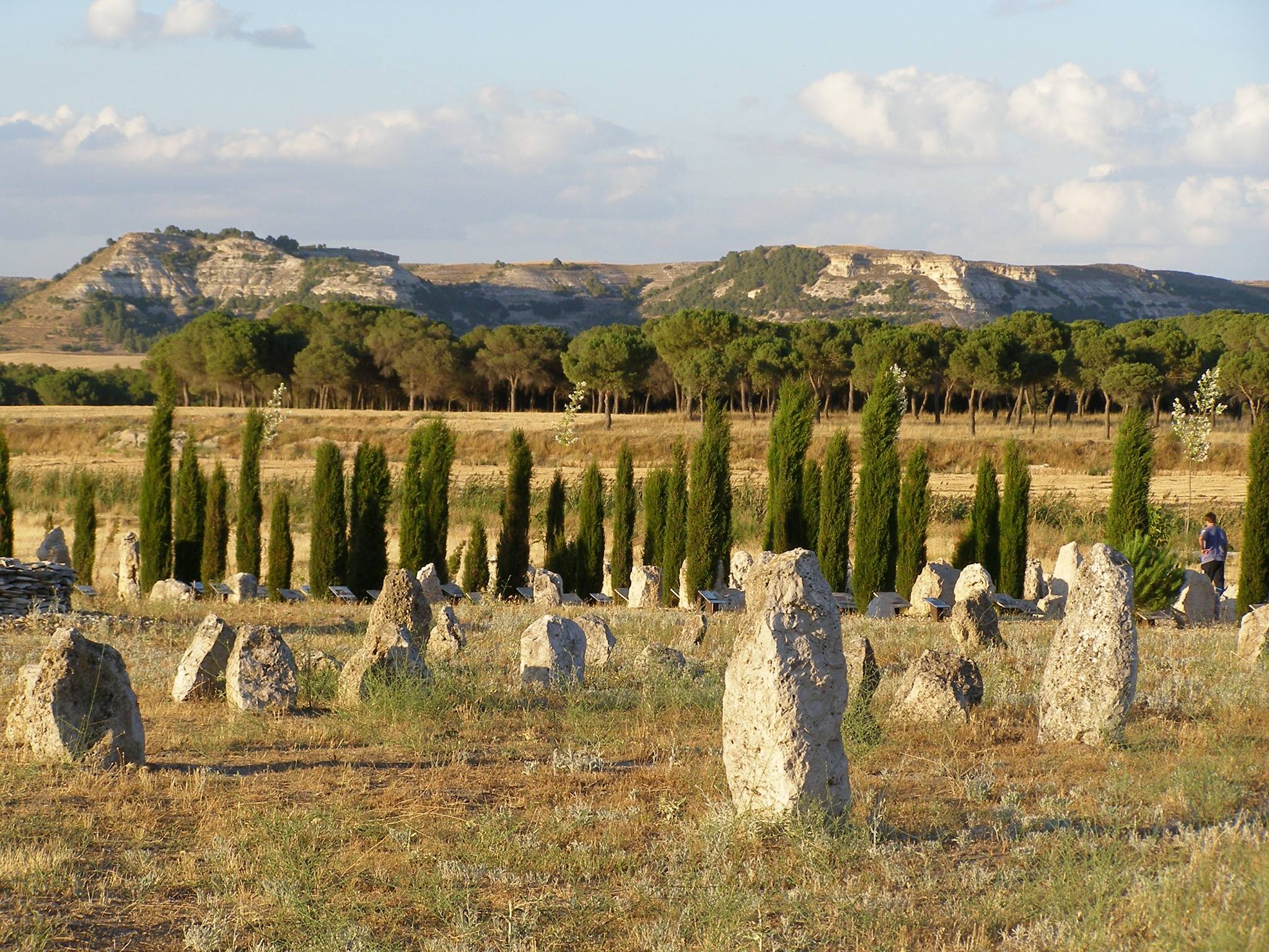 El yacimiento arqueológico de Pintia en Padilla de Duero