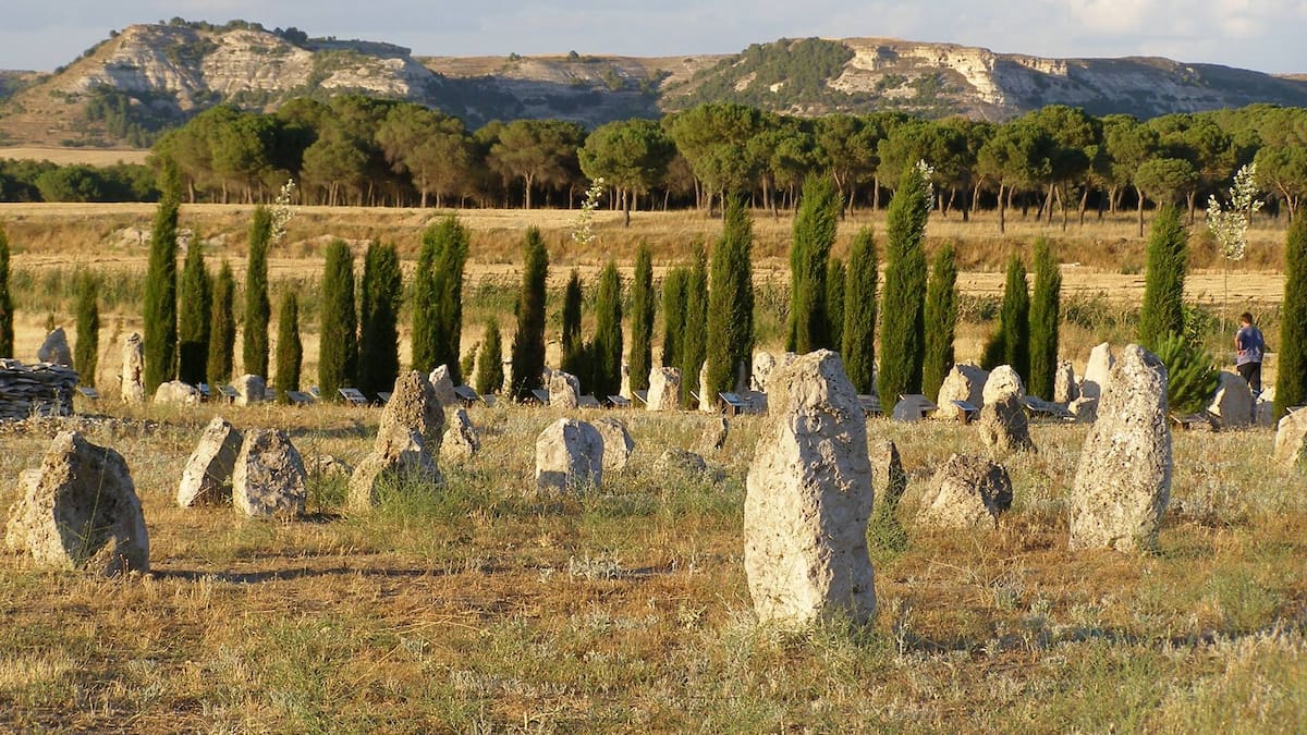 Pintia Vaccea celebra aniversario en 2026 y espera más colaboración municipal