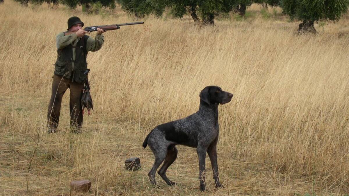 García-Page, en defensa de la caza