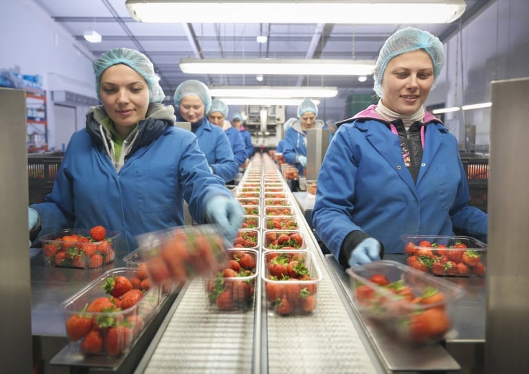 Dos operarias envasando fruta