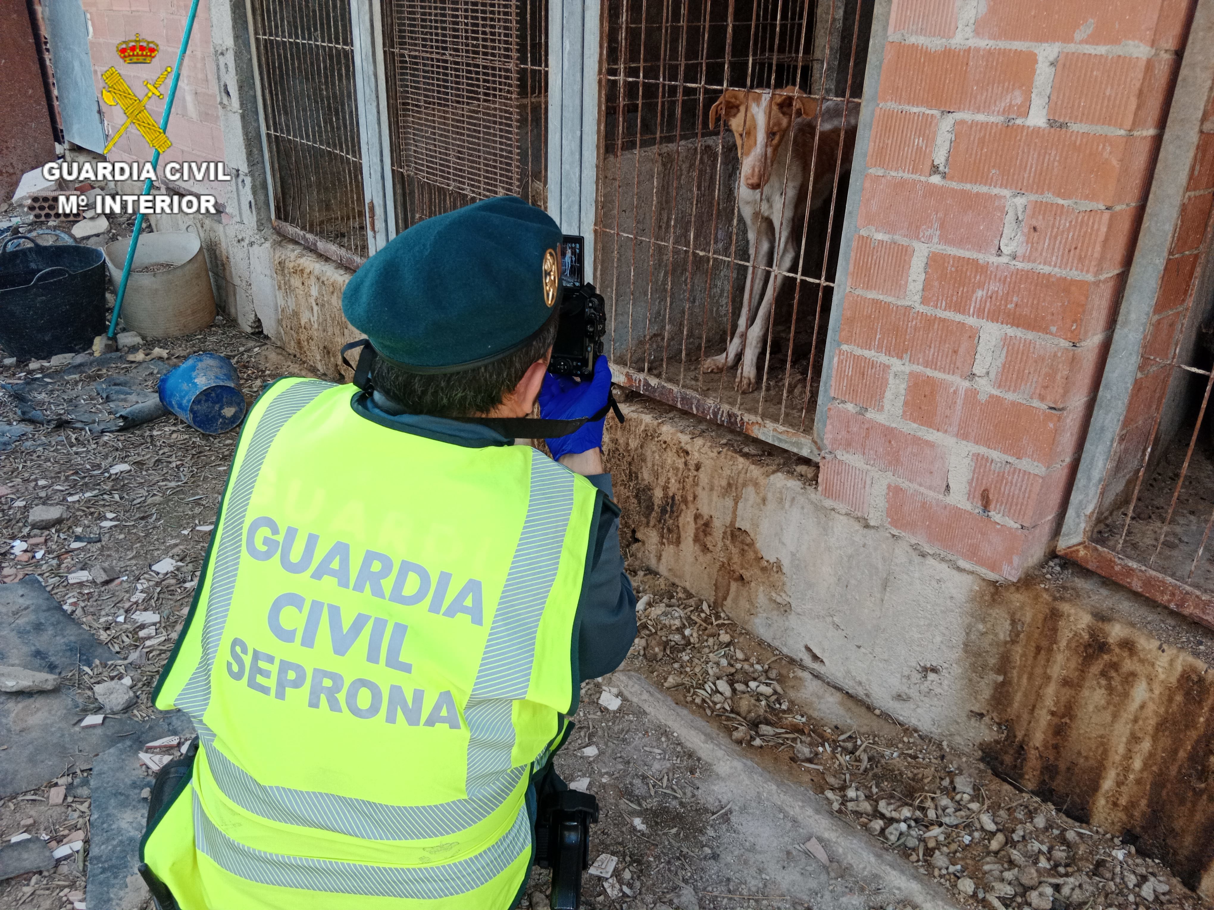 La Guardia Civil investiga a un hombre por abandonar a cuatro perros deshidratados y con garrapatas