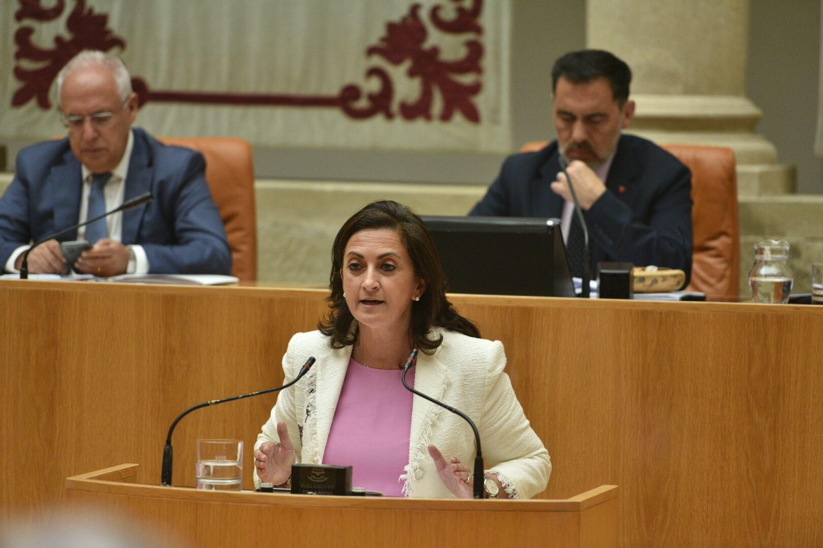 Concha Andreu interviniendo en el Pleno del Parlamento de La Rioja