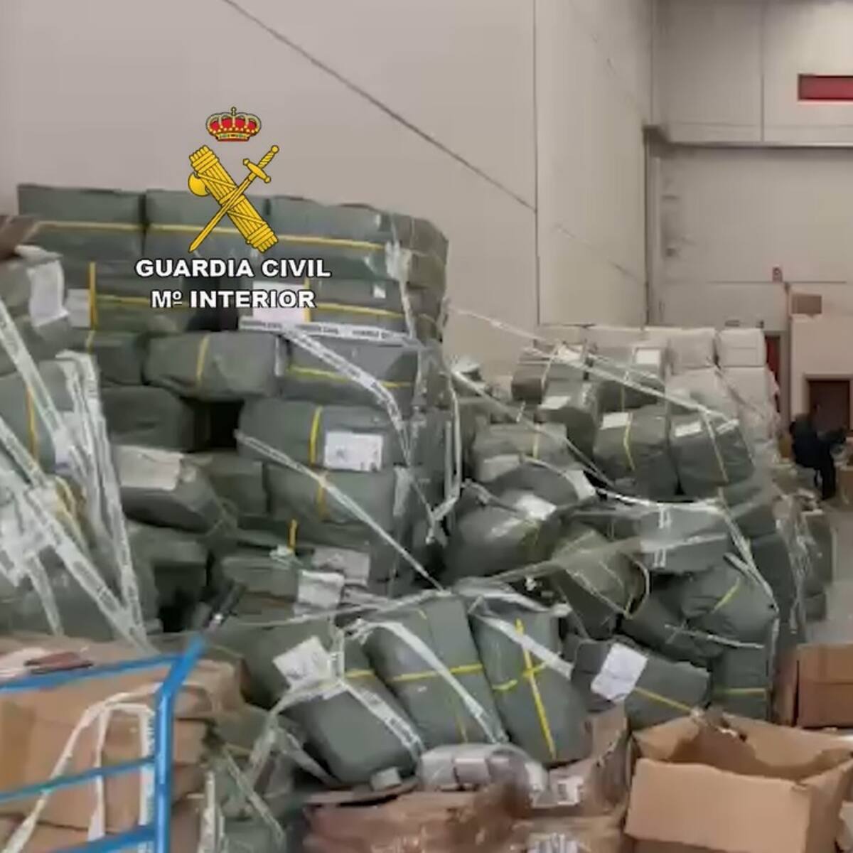 Retiradas cientos de miles de prendas falsificadas de un polígono industrial de Pinto