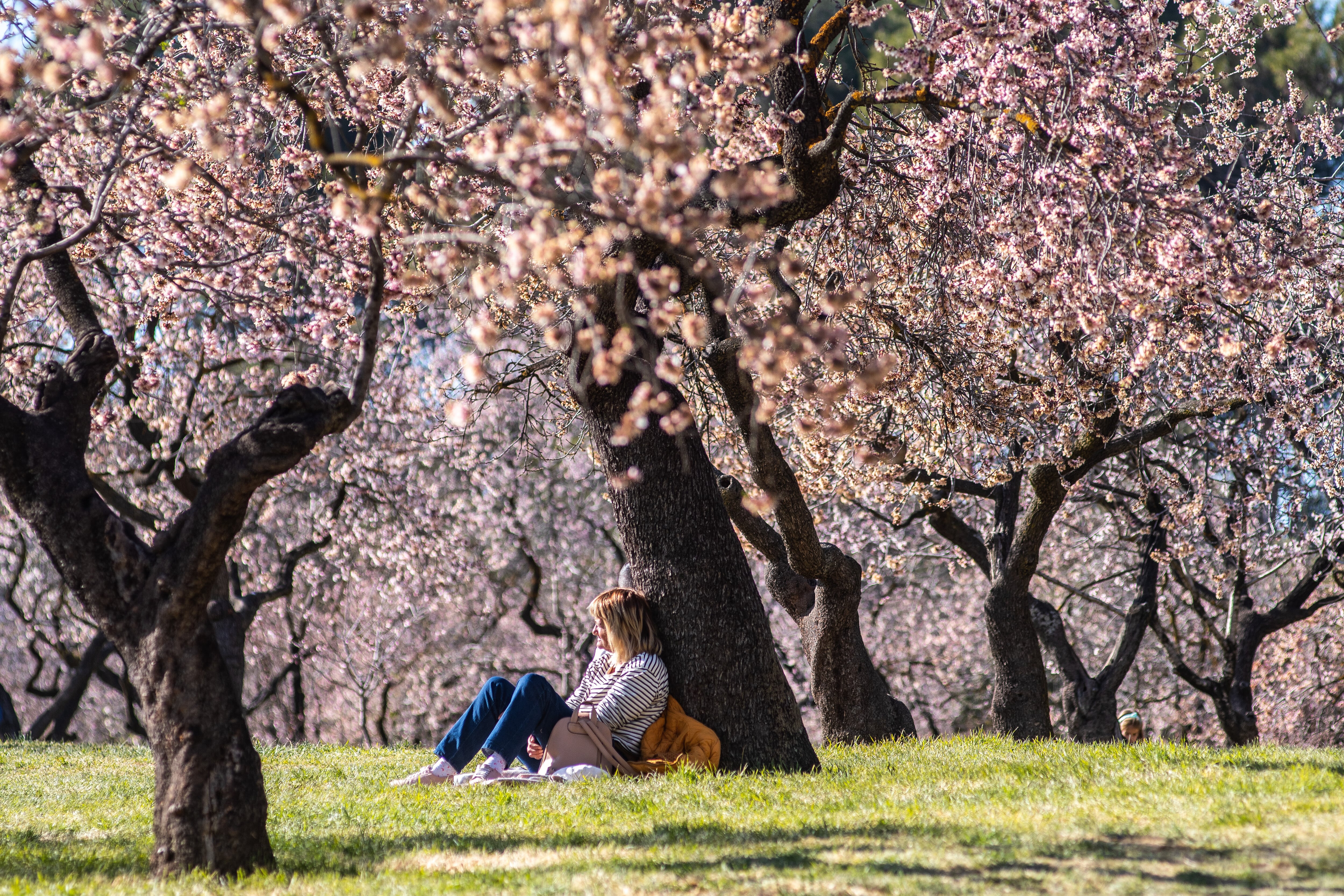 Comienza la primavera con temperaturas más altas de lo habitual.