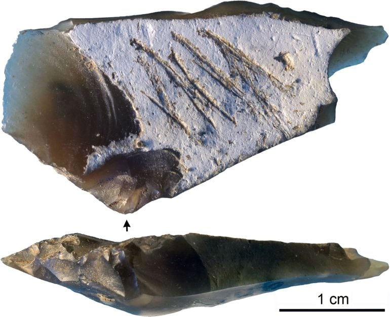 Grabado realizado en una pieza de pedernal encontrado en una cueva de Crimea.