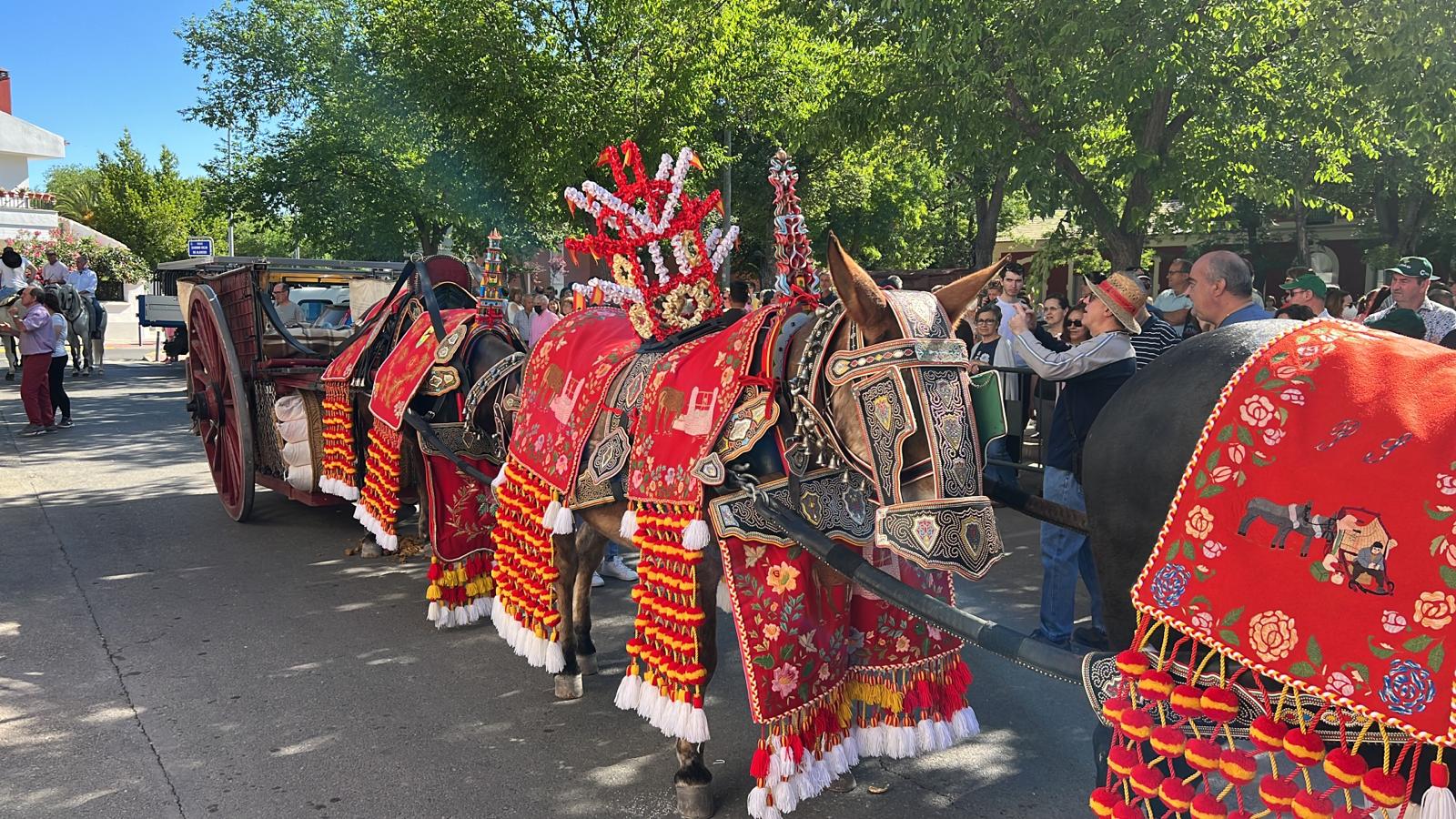 Subida de la Virgen por la Asociación de muleros de Tomelloso