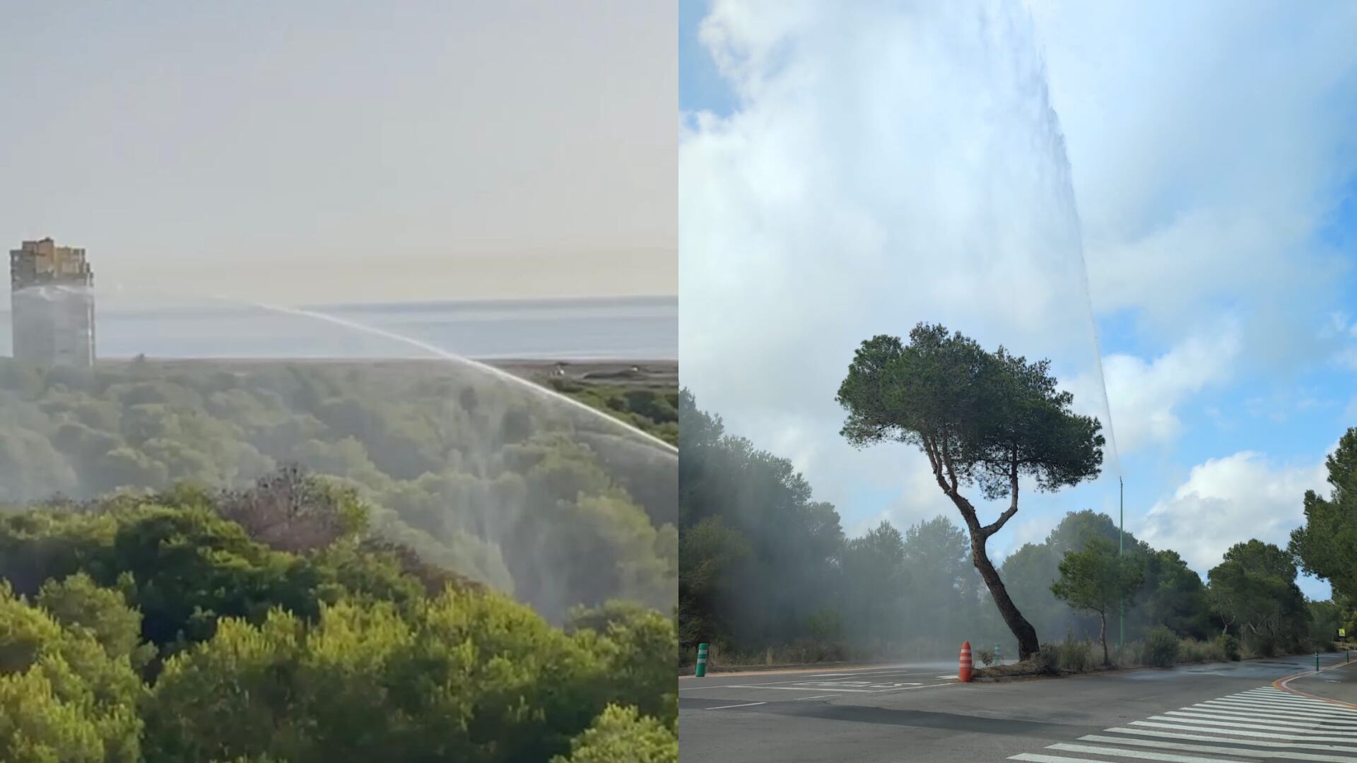 Cañones funcionando en la Devesa de El Saler