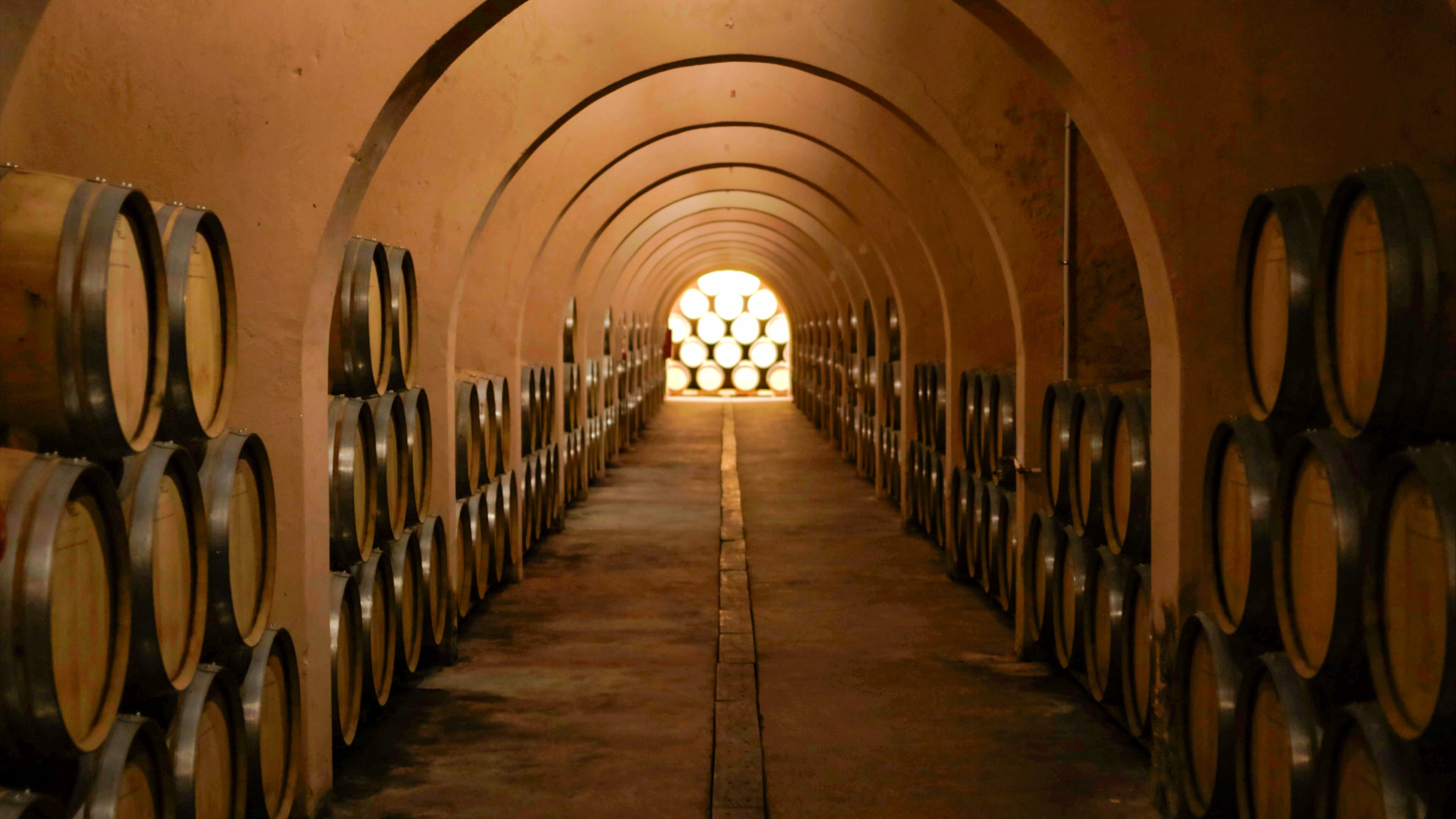 Bodega de Villena