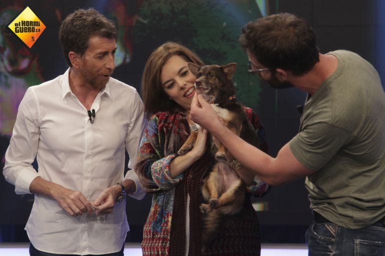 Soraya Sáenz de Santamaría en un momento de su paso por &#039;El Hormiguero&#039;