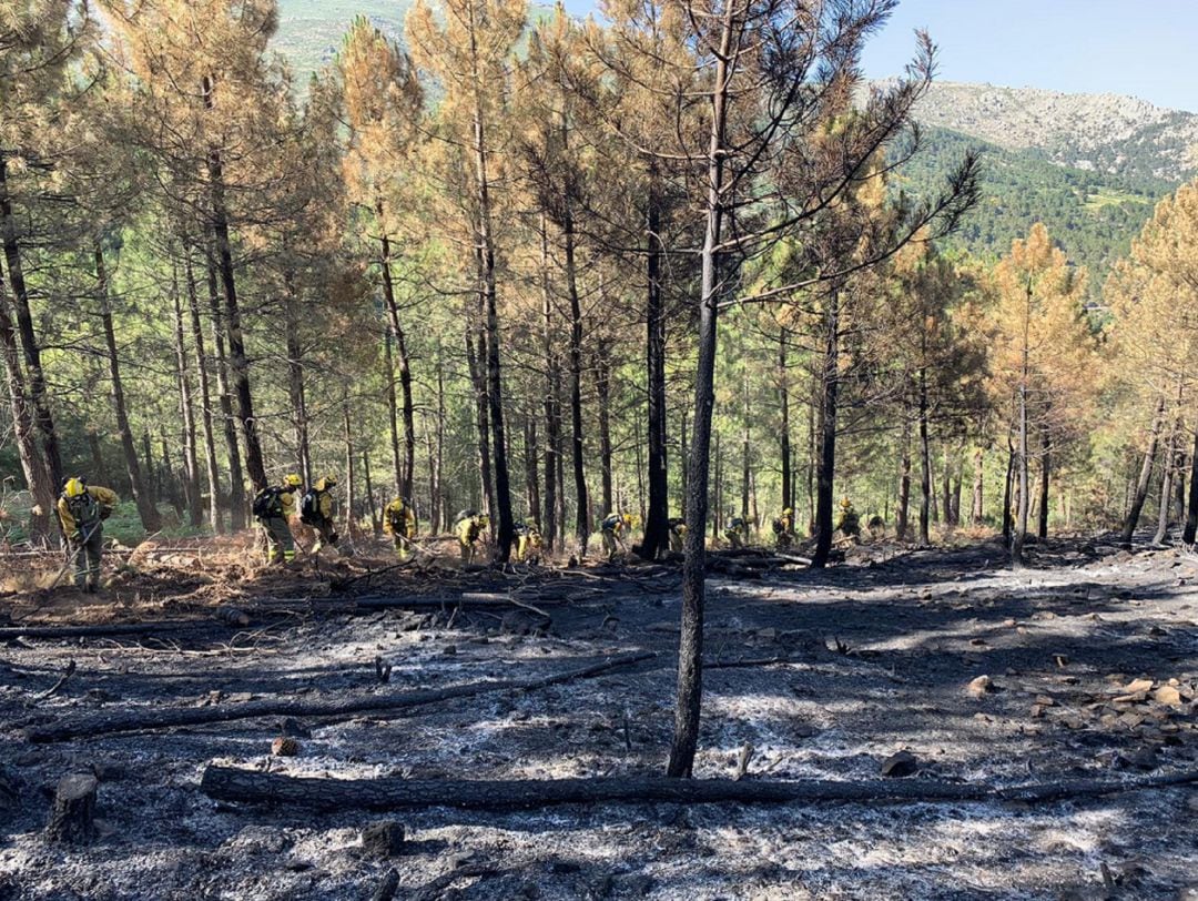 El de Gavilanes ha sido el primer gran fuego desde que se inició la campaña, en toda la región