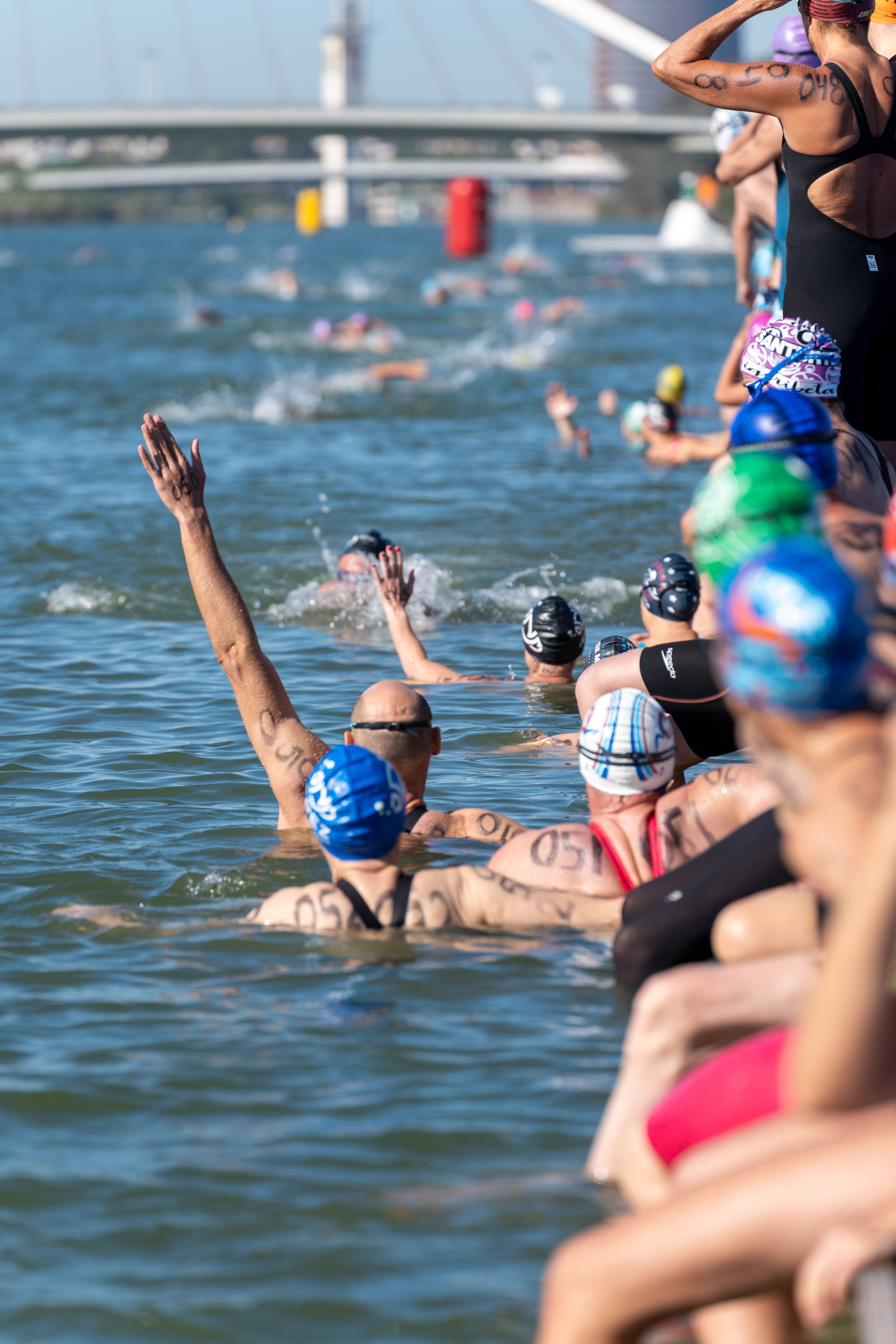 Equipo de natación del Jerez Máster