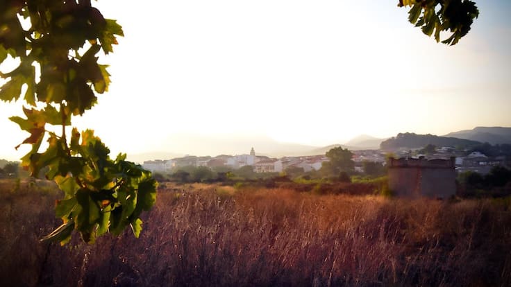 Entrevista a Vicente y Dàrius en "Hoy por Hoy Xàtiva y comarcas"