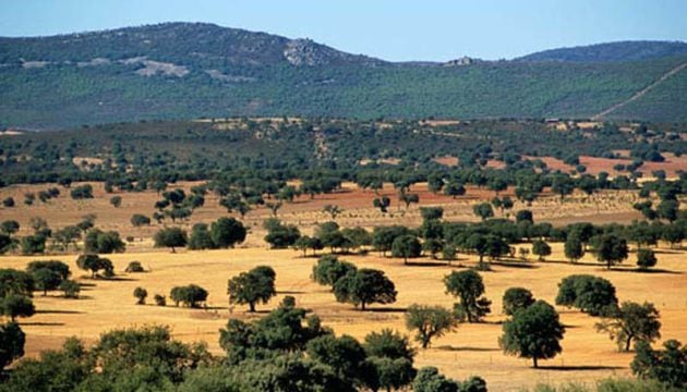 Imagen del Parque Nacional de Cabañeros