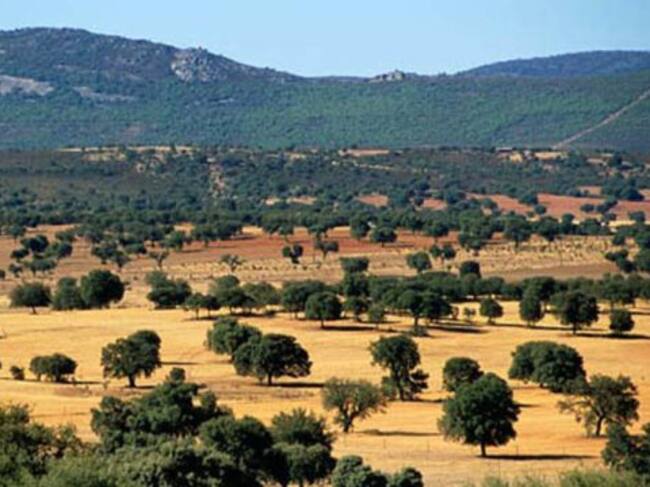 Imagen del Parque Nacional de Cabañeros
