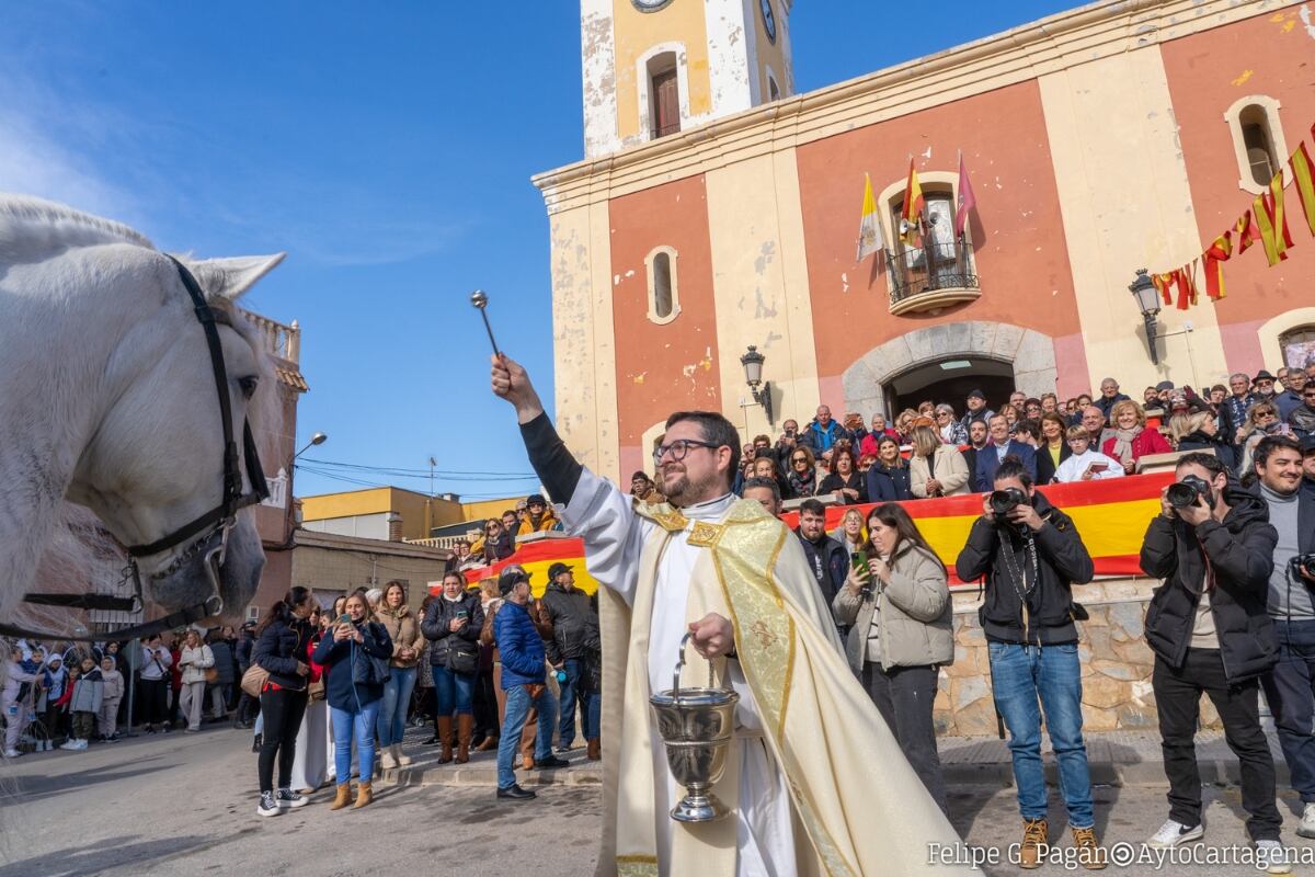 Bendición de animales en el barrio cartagenero de San Antón.