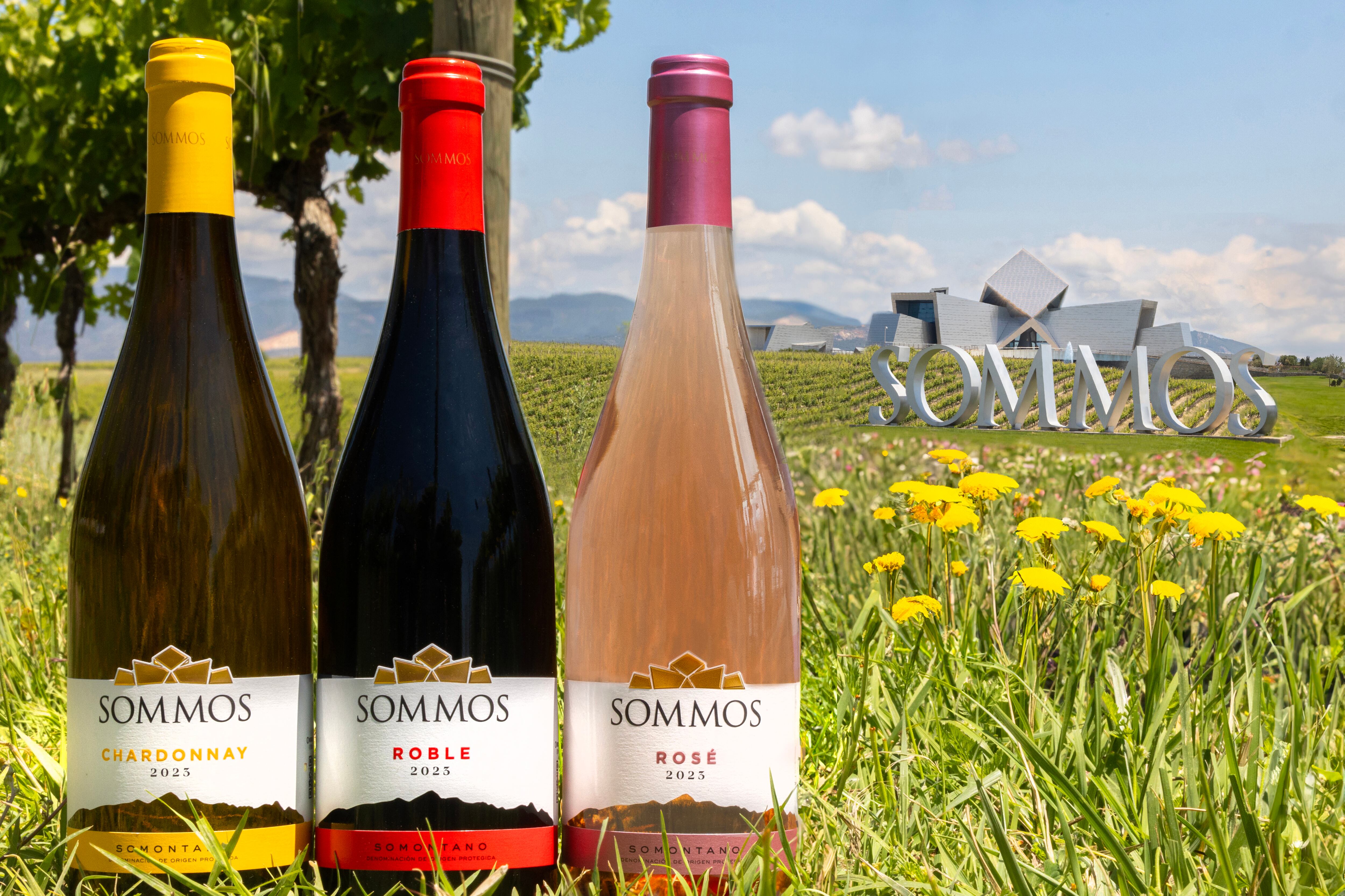 Sommos Chardonnay, Sommos Roble y Sommos Rosé. Foto: Carla Abadía