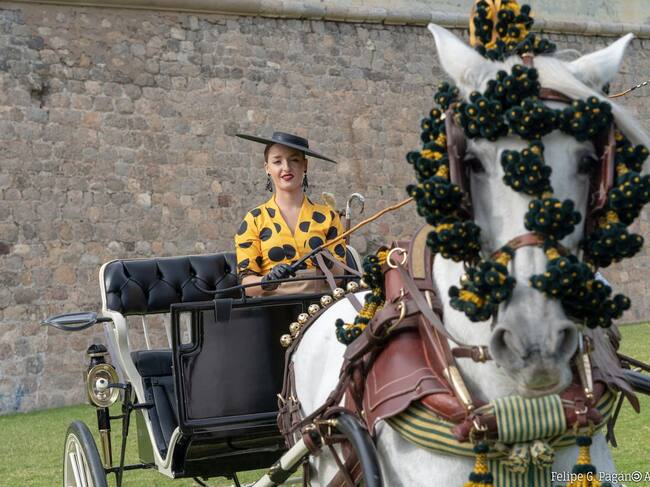 Concurso Nacional de Enganches de Cartagena