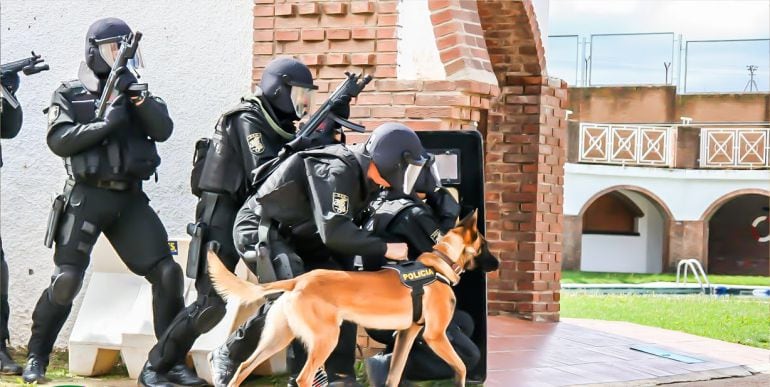 Danko, uno de los primeros perros que trabajó con los GEO