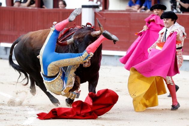 El diestro Román Collado cogido por el primero de su lote durante su faena con la muleta en la corrida celebrada esta tarde en la plaza de toros de Las Ventas, compartiendo cartel con Pepe Moral y Curro Díaz, lidiando reses de Baltasar Ibán