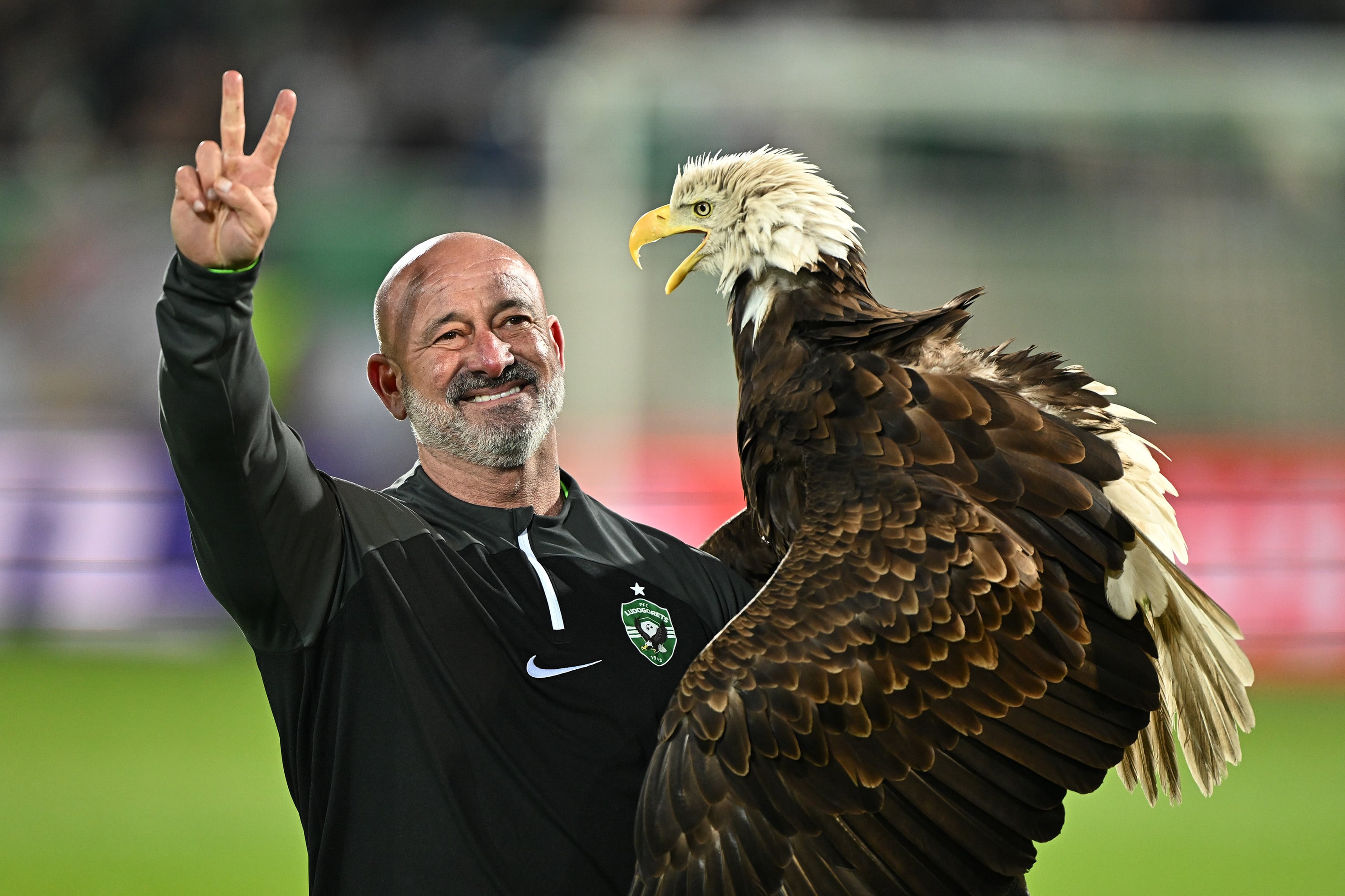 'Fortuna', el águila más querida por la afición del Ludogorets: "Después del vuelo, paseamos por las gradas y se queda a ver el partido"