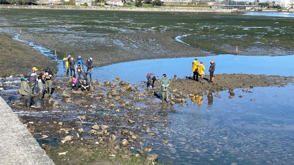 El BNG urge a Gobierno y Xunta a que paguen las compensaciones a los mariscadores de la ría de O Burgo