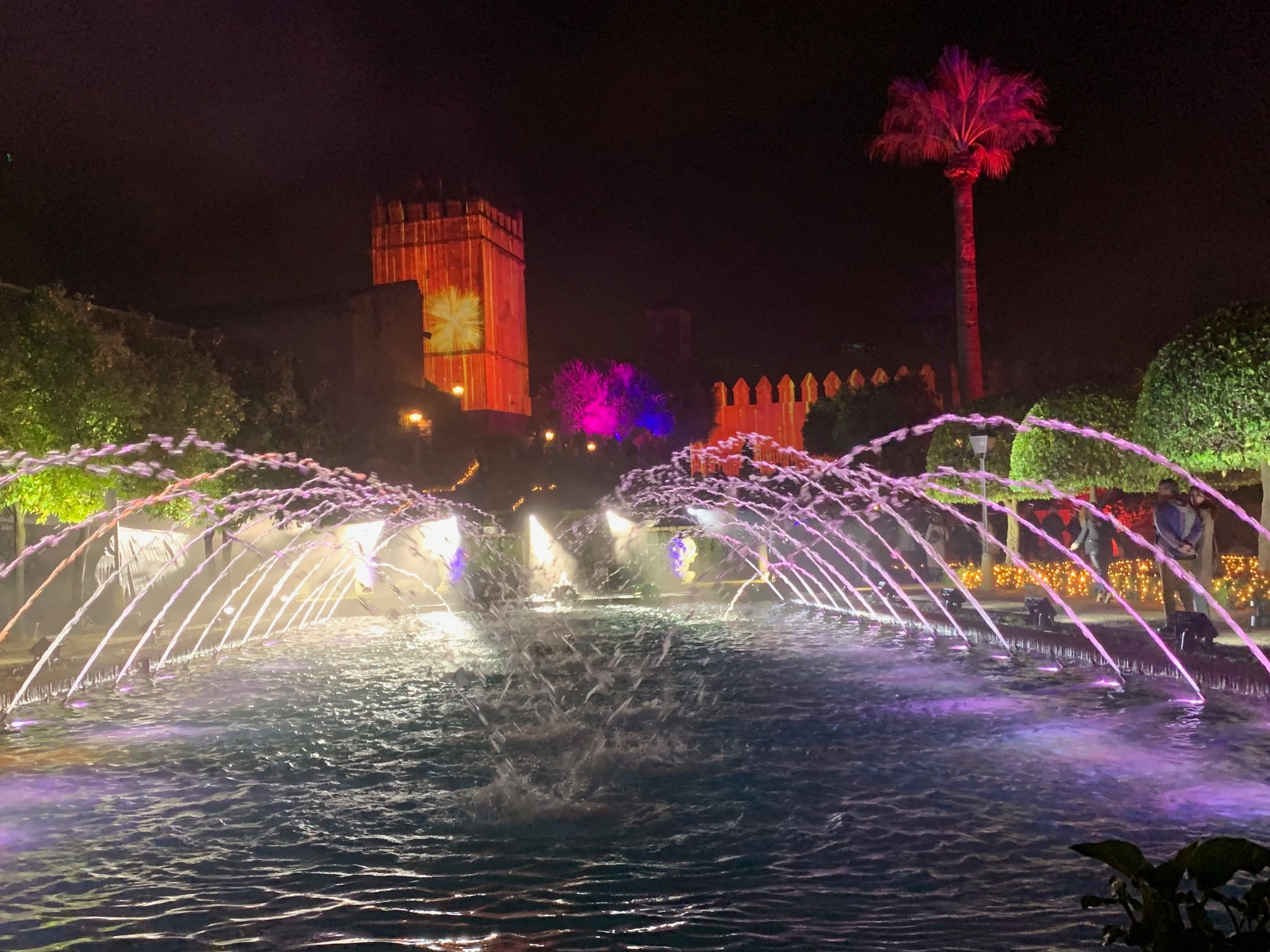 Espectáculo &quot;Raíces&quot; en el Alcázar