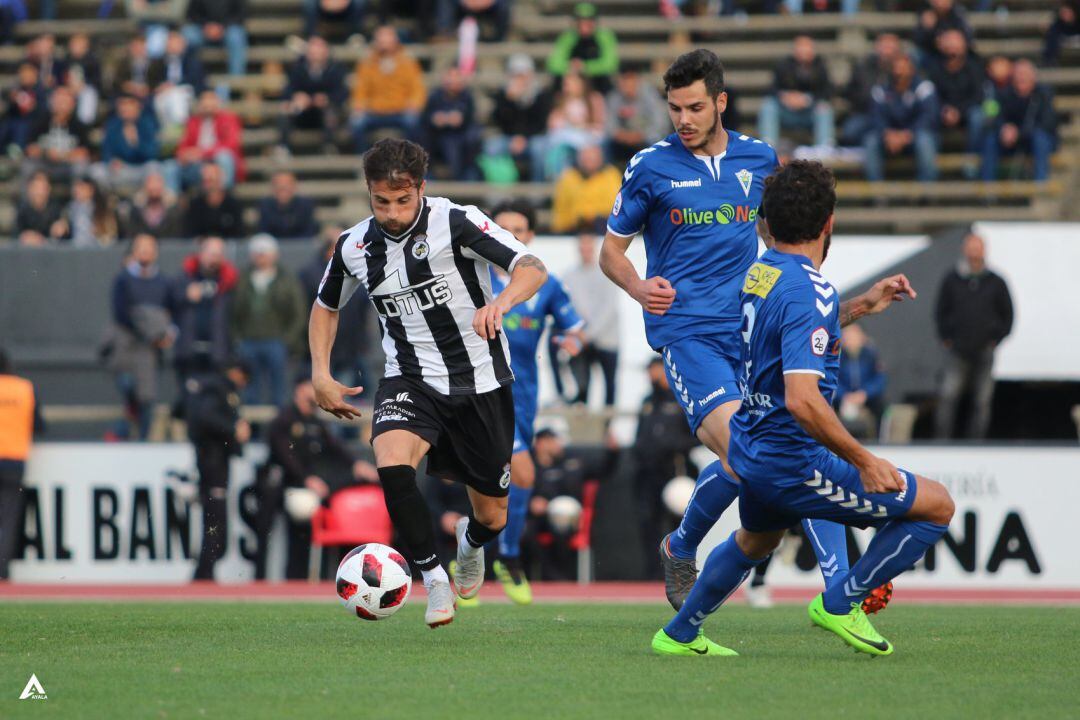 Gato durante un partido.