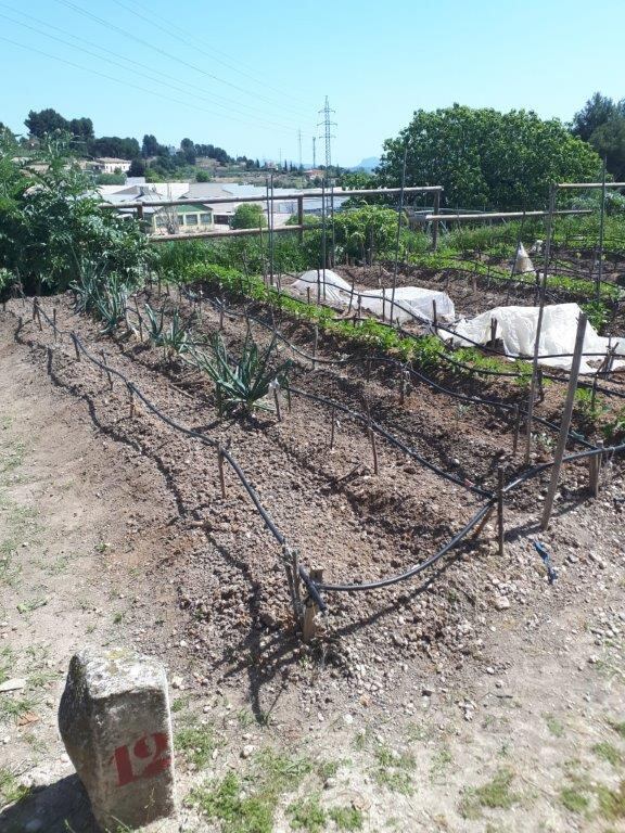 Uno de los huertos urbanos de Alcoy