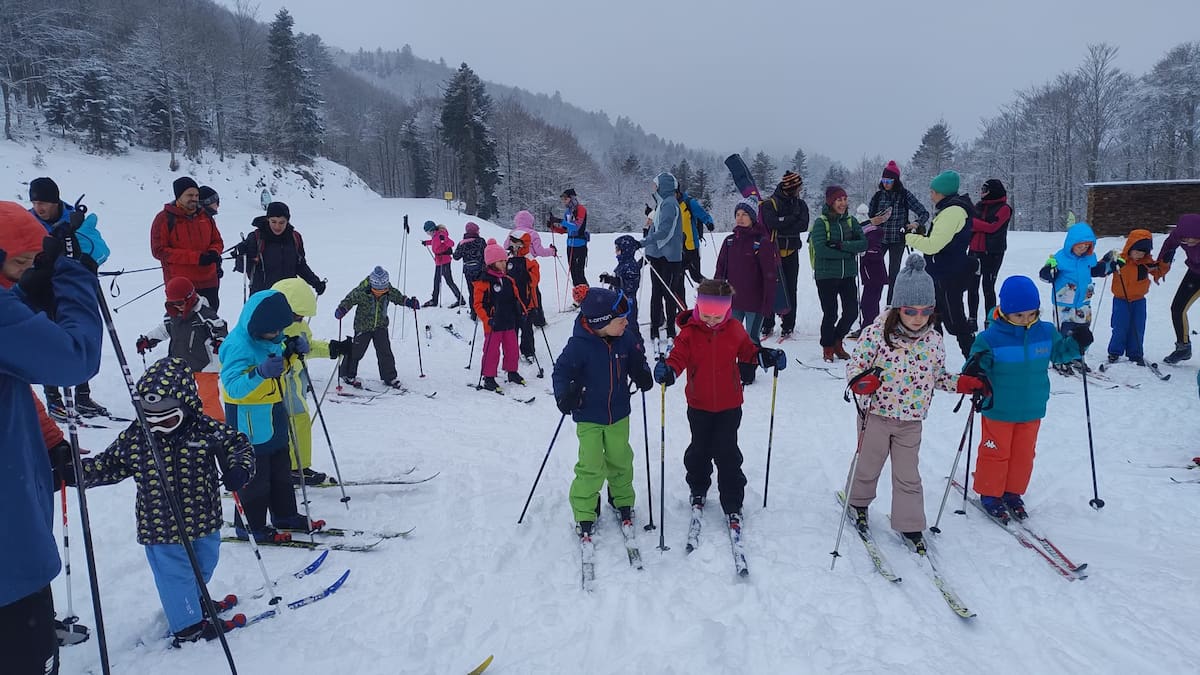 Mayencos diseña un 2026 celebrando su setenta aniversario