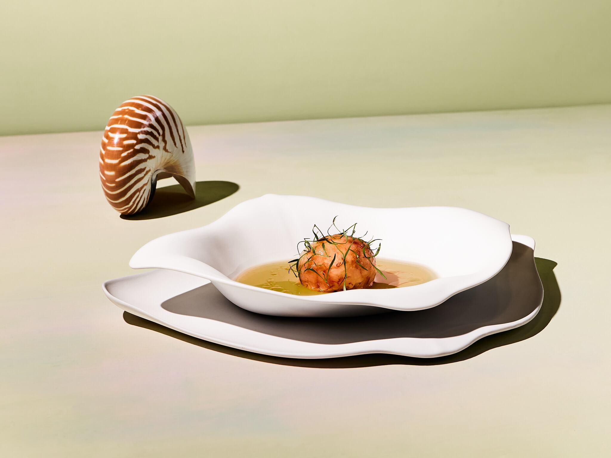 Vajilla Oceancook a partir del TAC a especies amenazadas