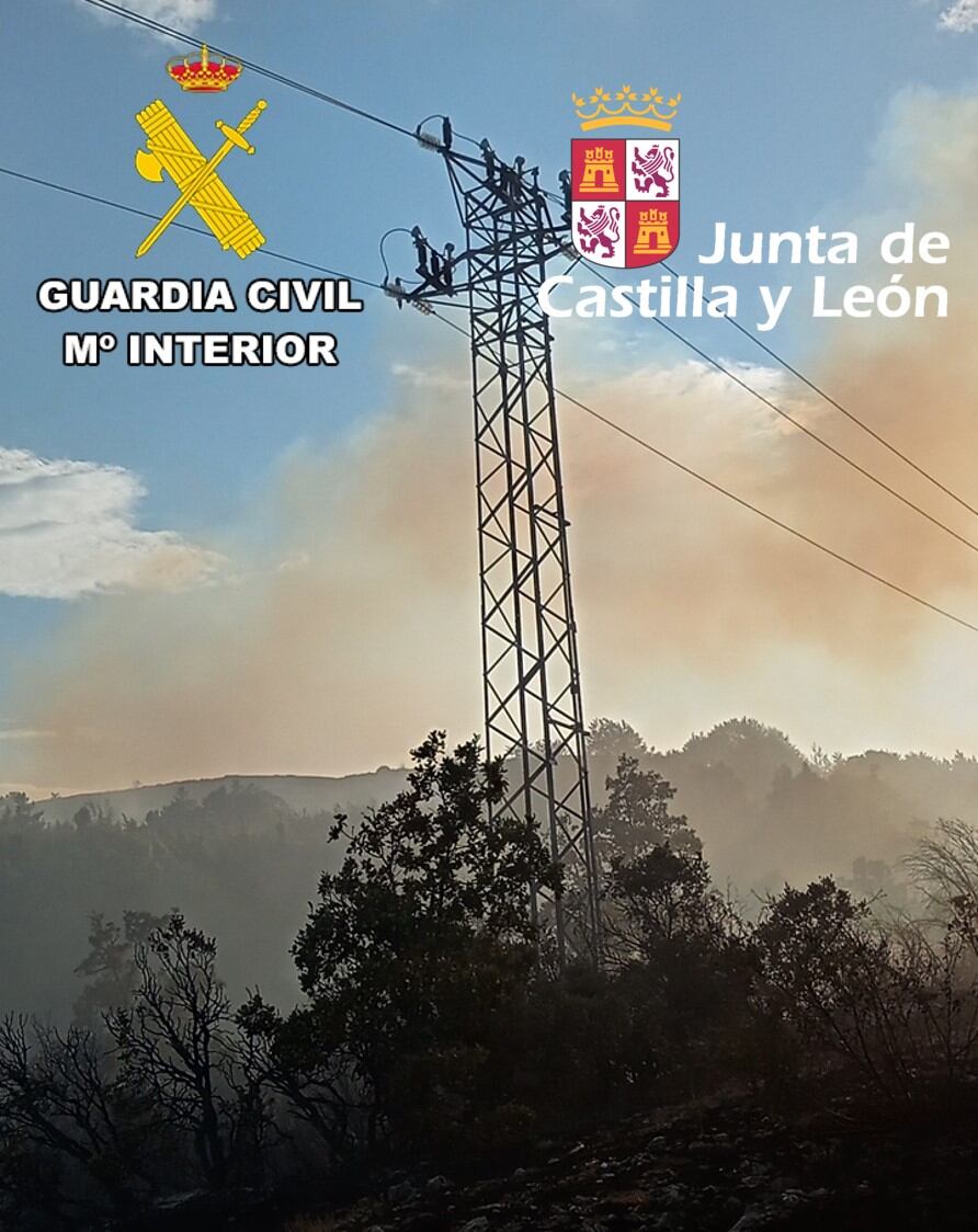 Agentes Medioambientales de la Junta de Castilla y León y el SEPRONA de la Guardia Civil han determinado el origen del fuego en Los Altos el pasado verano