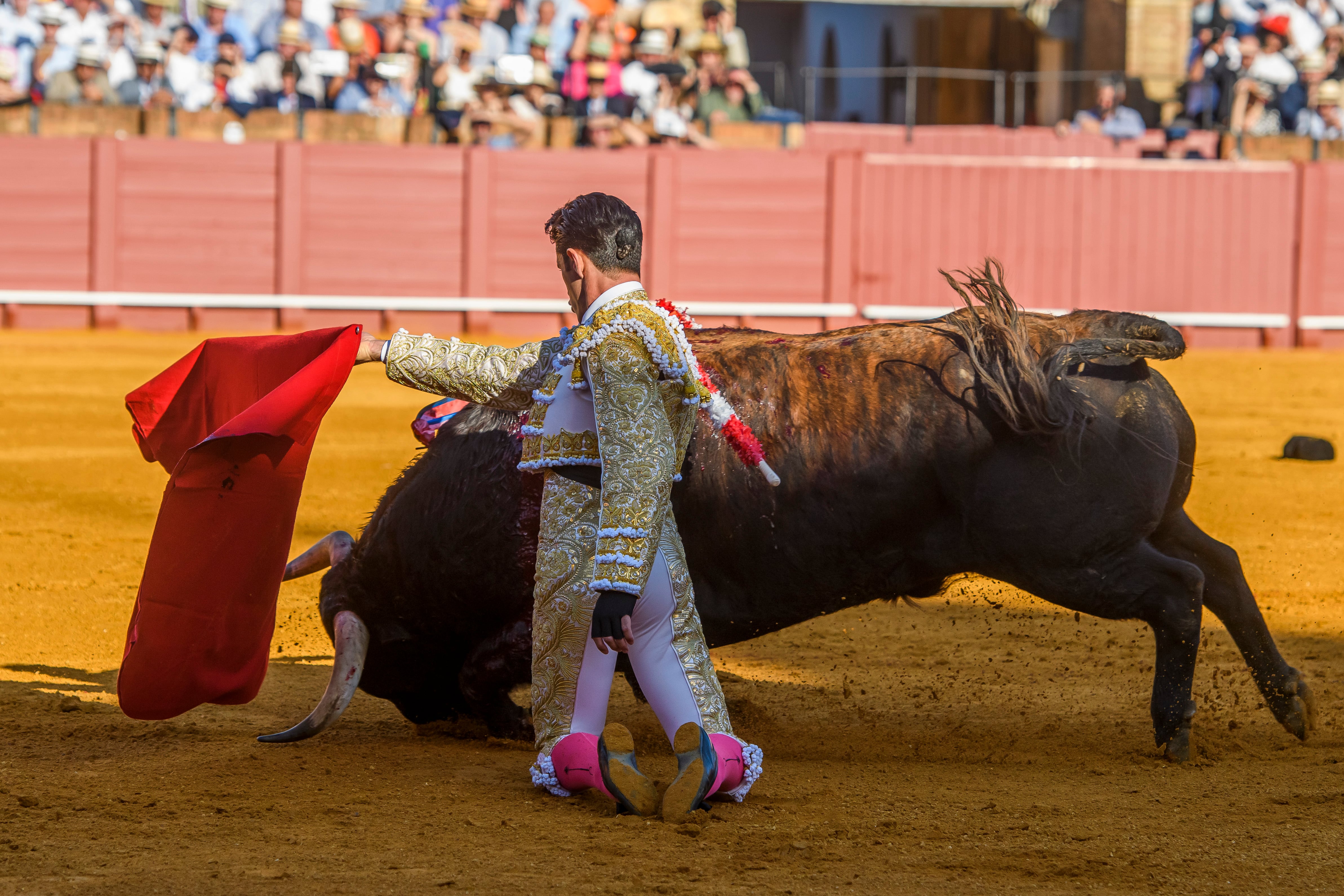 SEVILLA, 24/04/2023.- El diestro Alejandro Talavante con su primer toro, esta tarde en la Plaza de la Maestranza de Sevilla, durante el ciclo continuado de festejos de Feria de Abril. EFE/ Raúl Caro
