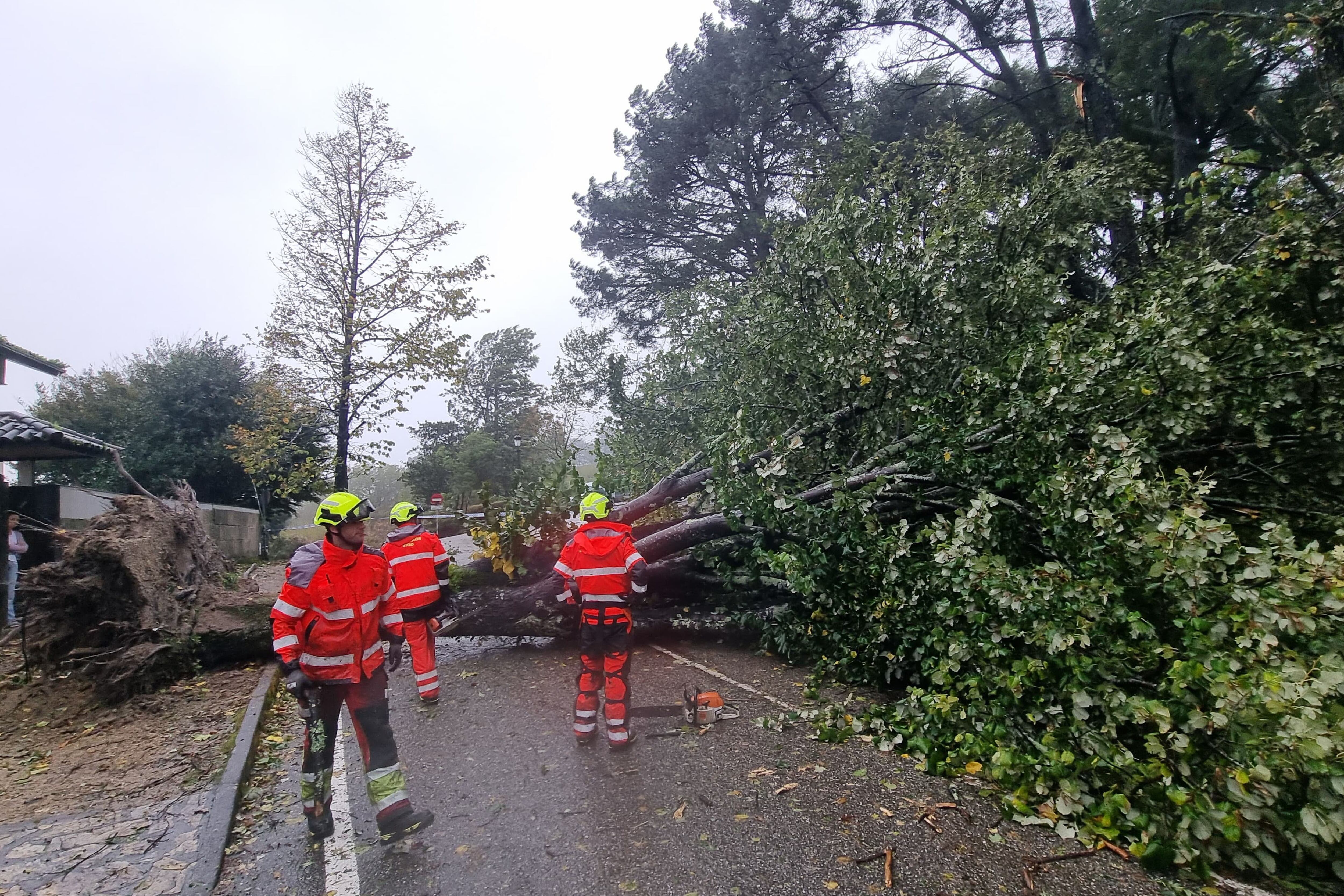 Efectivos del cuerpo de bomberos retiran uno de los árboles caídos en el Parque del Castro de Vigo a causa de la borrasca KirkEFE/ Salvador Sas