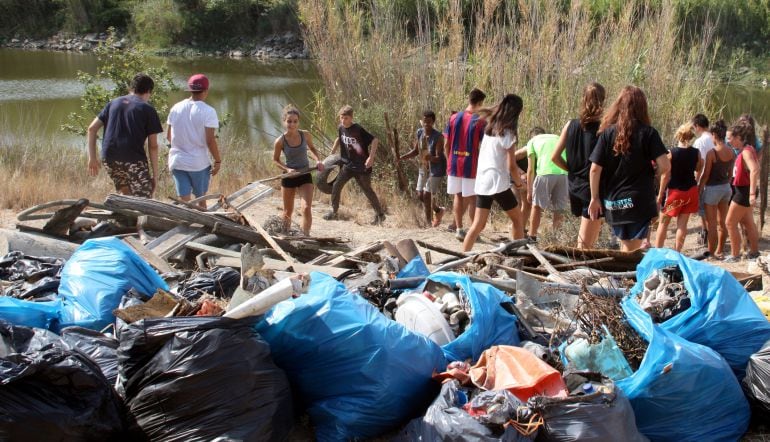 Alguns dels residus que van treure d'aquestes basses.