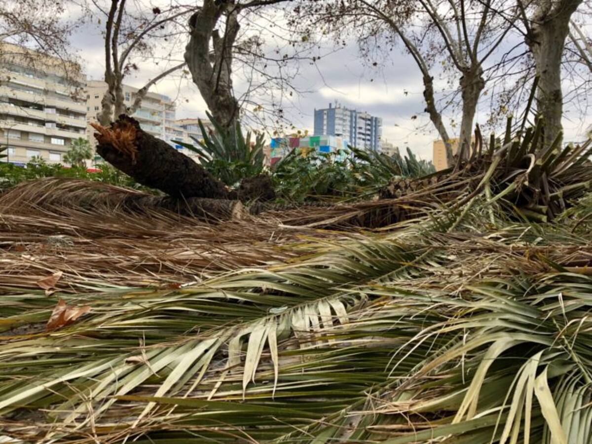 Más de 300 incidencias atendidas por el temporal de fuertes vientos en Málaga