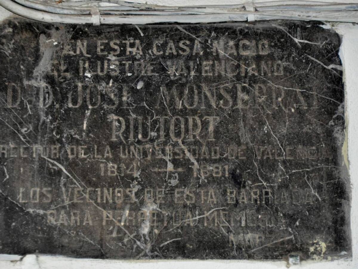 Luis Fernández, callejeando por el Botànic