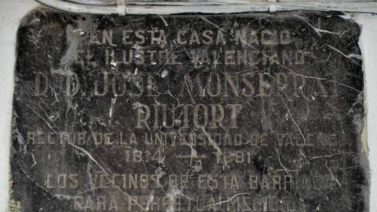 Luis Fernández, callejeando por el Botànic