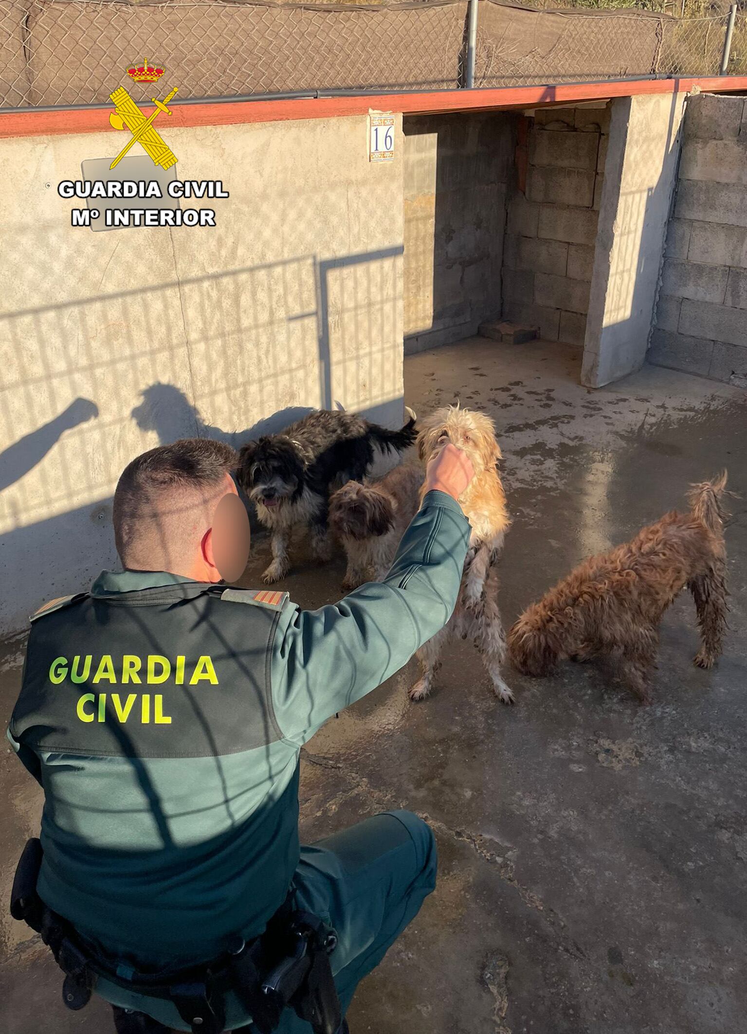 La Guardia Civil investiga a dos vecinos de Águilas por maltrato animal