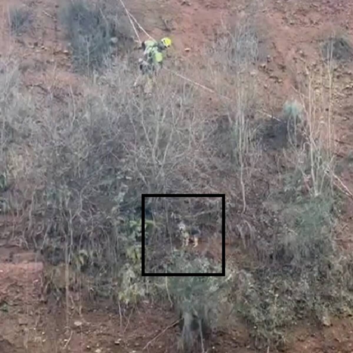 “Flanagan”, el protagonista intrépido de un rescate de altura