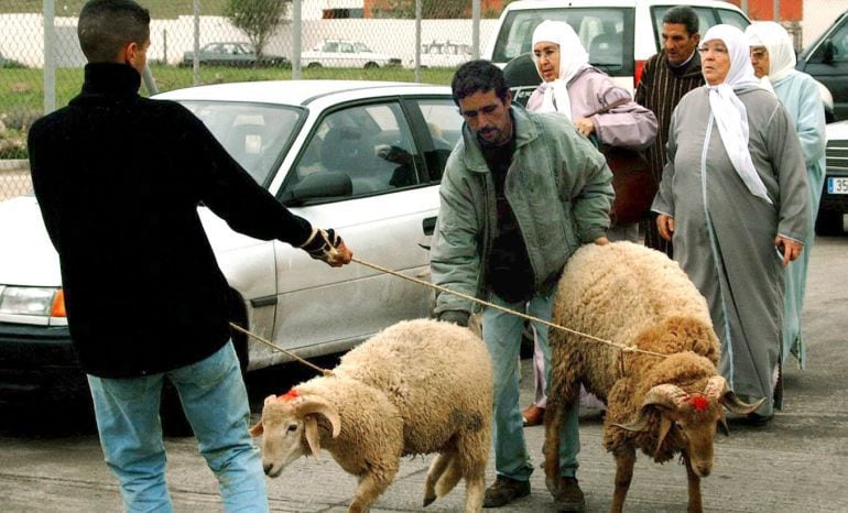 Varios musulmanes melillenses, en una imagen de archivo, traen, arrastrando amarrados con una cuerda, los borregos que serán utilizados en la Fiesta del Sacrificio