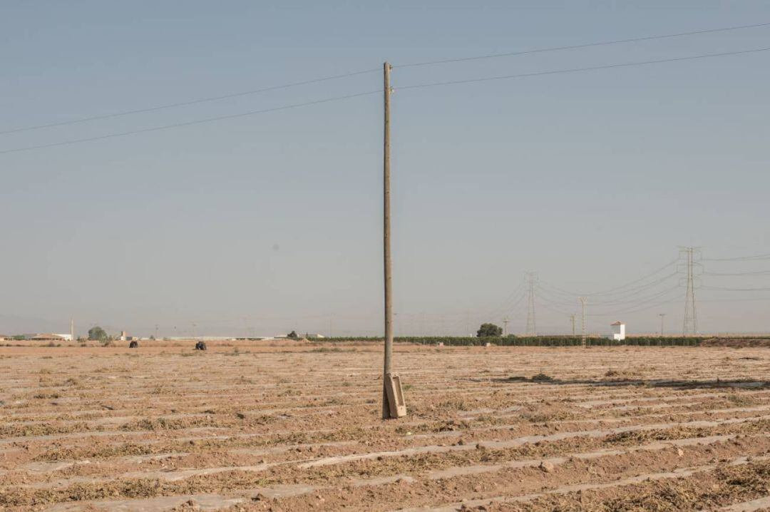 Archivadas las diligencias abiertas contra 13 empresas agrícolas investigadas en el &quot;Caso Topillo&quot; 