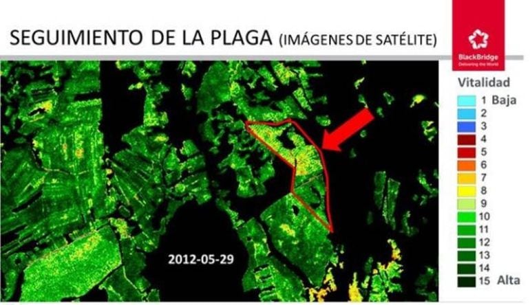 Imágen de satélite de la plaga en Fresnedo