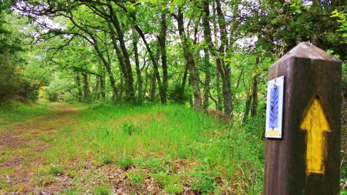 El nuevo camping y el Centro de Interpretación de la Minería, apuestas de Barruelo en FITUR