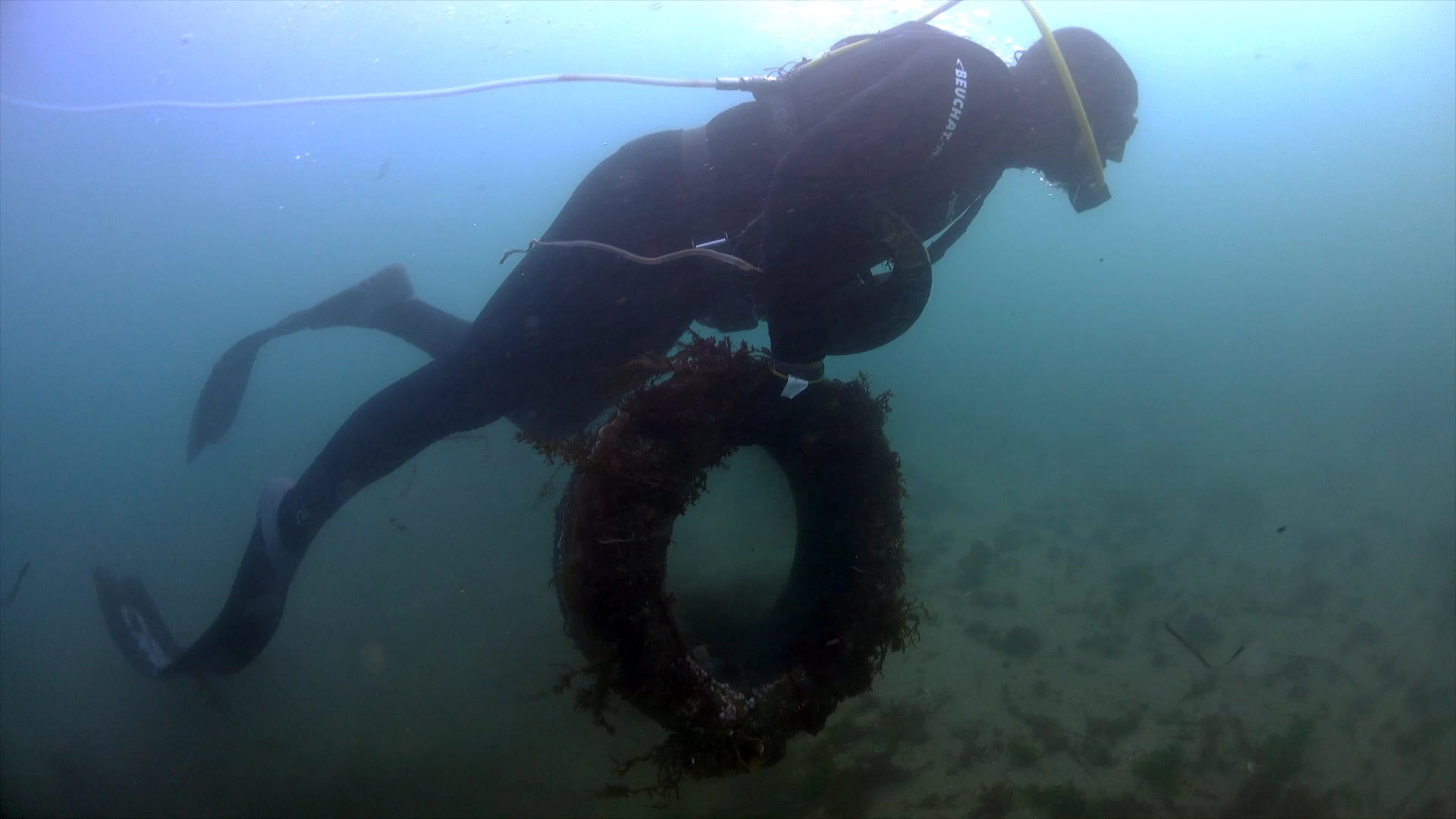 Fotograma de &quot;Mar limpo, mar vivo&quot;.