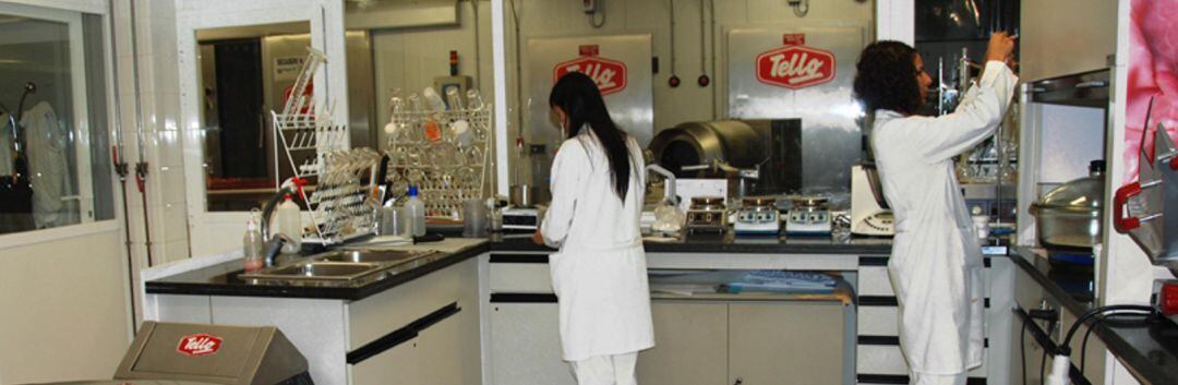 Técnicos trabajando