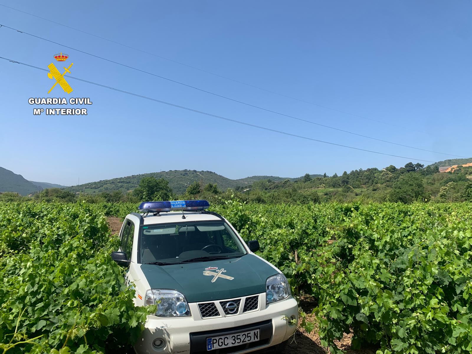 Patrulla entre viñedos