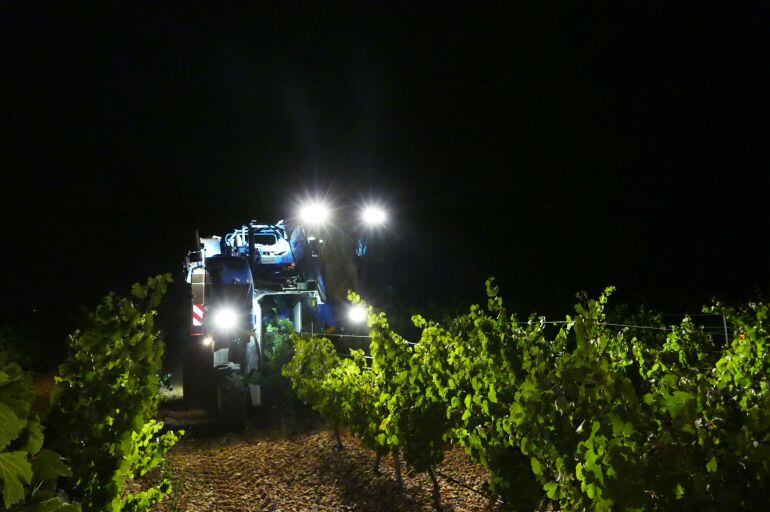 Instantánea de la vendimia durante la noche