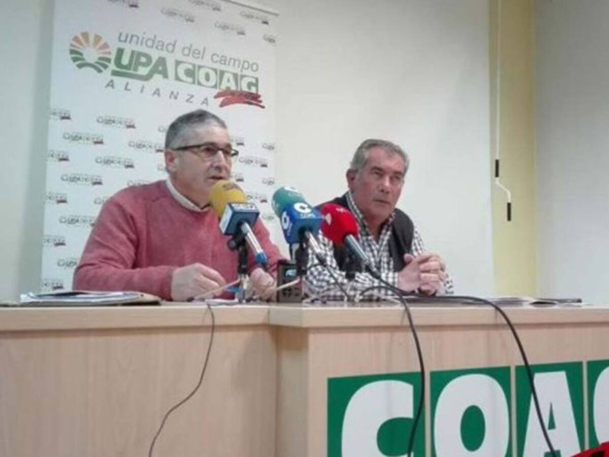 UPA-COAG elaborará un informe sobre los daños producidos por los conejos