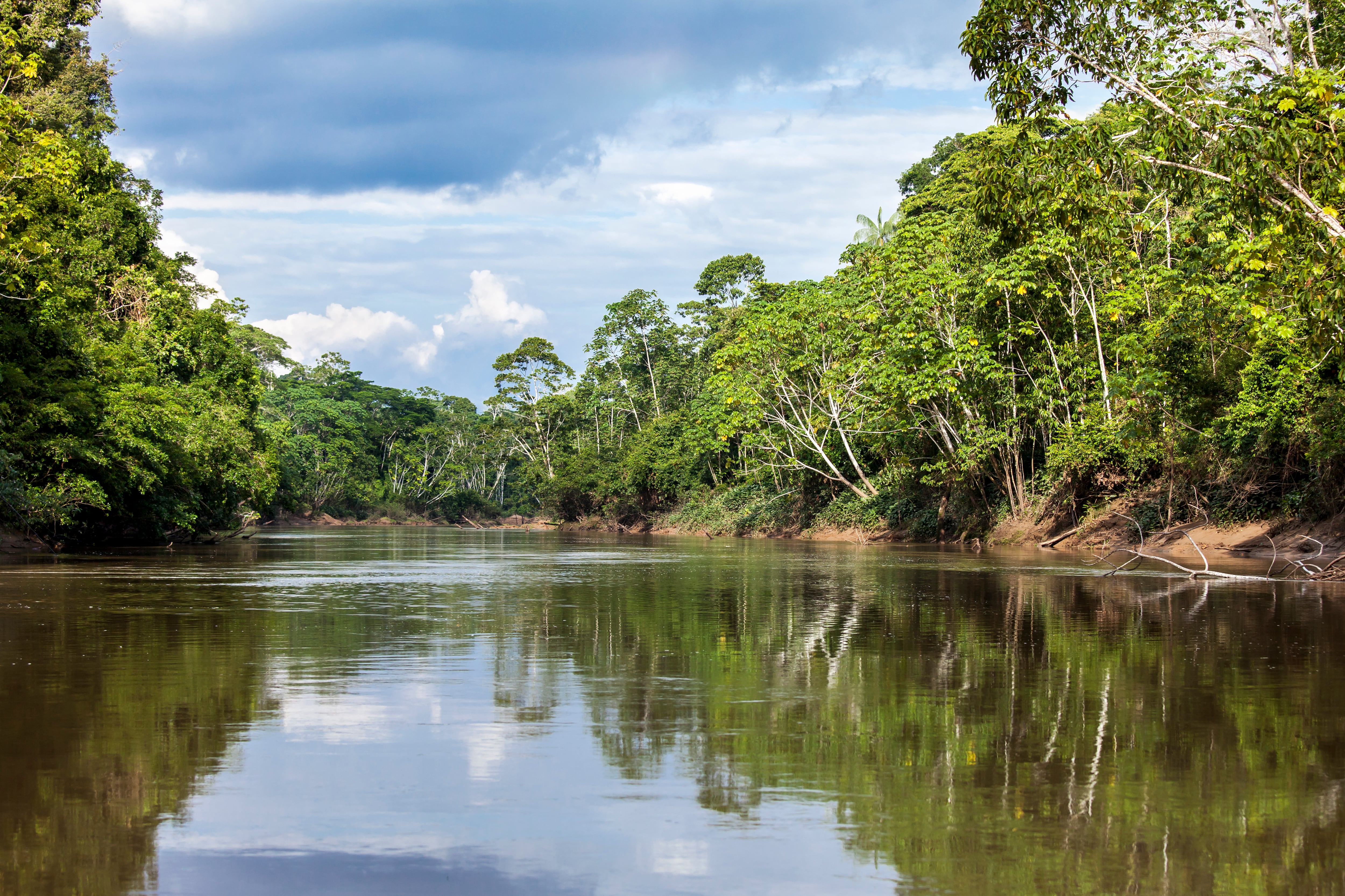 Yasuní National Park is one of the places on the earth with more biodiversity, located in Ecuadorian Amazon Basin.